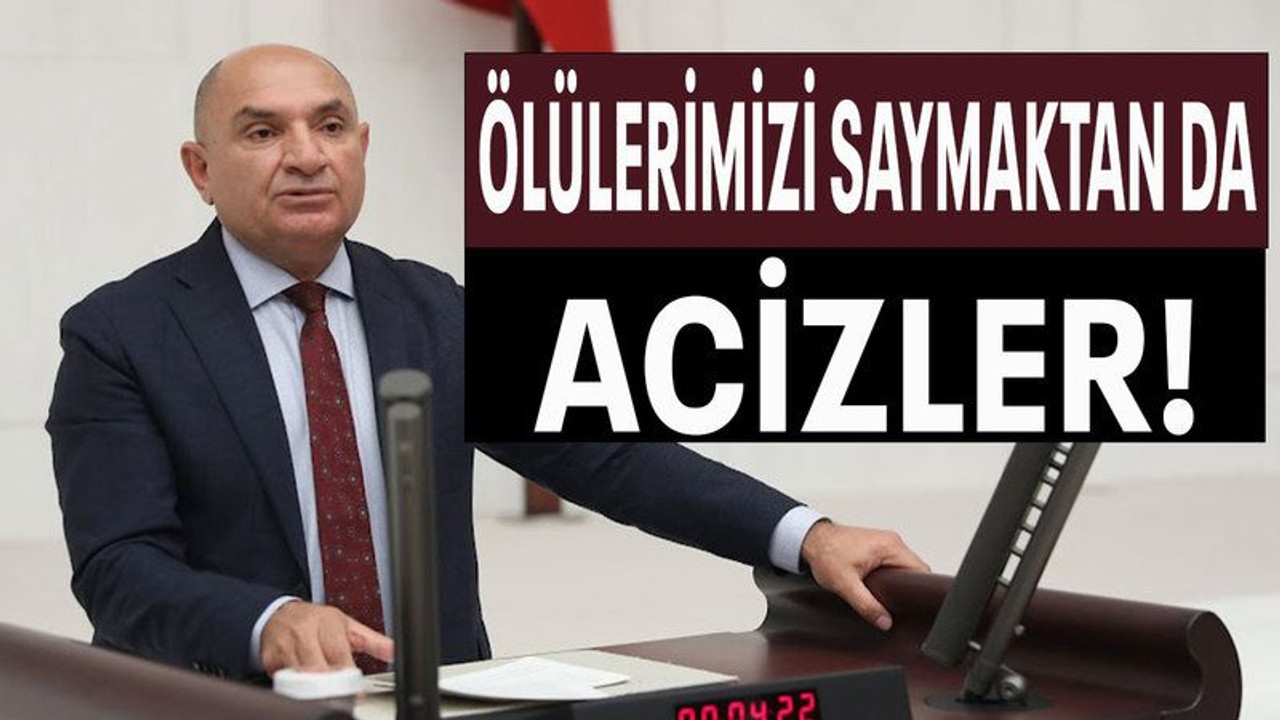 Ölülerimizi saymaktan da acizler!
